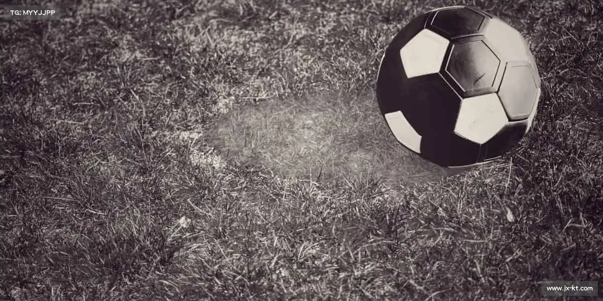 mk体育平台🏆挑战极限，让世界看见你的光芒！